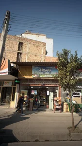 محصولات لبنی پامچال 2