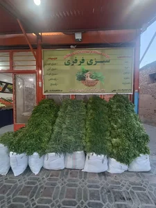 میوه فروشی اخوان فلکی 2