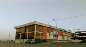 مجتمع تجاری ارکیده