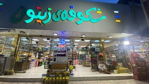 شکوفه ی زیتون