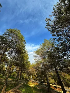 پارک یاس فاطمی