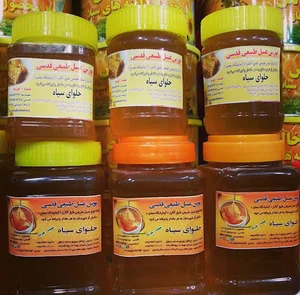 عسل مقدم نیا