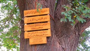 پارک ذوالفقاری 5