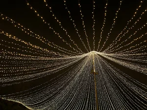 باغ تالار روژانیا