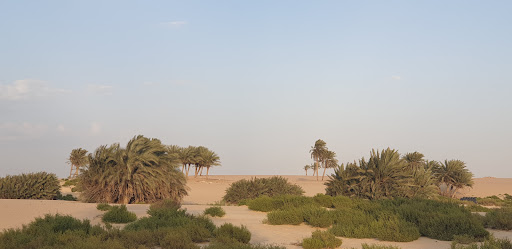 Al Matar