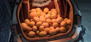 مزرعة الحوري