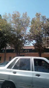 بانک کشاورزی