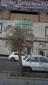تالار پذیرایی پیوند 2