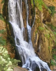 مجتمع تفریحی وسرگرمی