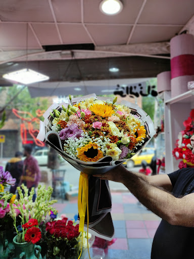 گلسرای آتوسا