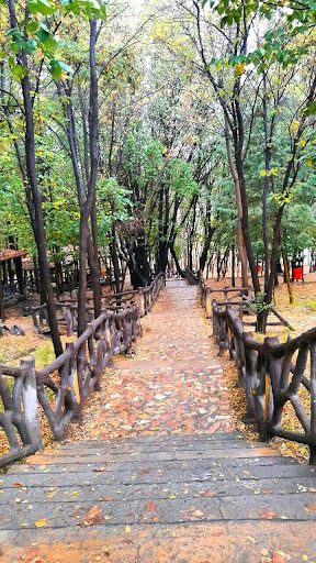 بوستان جنگلی مره خونی