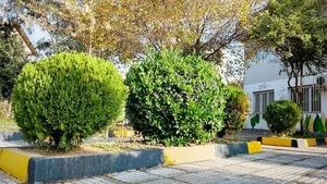 پارک قائم 3