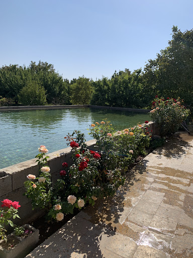 باغ محمد هاشمی