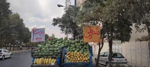 سید محمدرضا حیدری