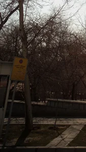 ایستگاه تاکسی 3