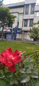 آموزشگاه جهش
