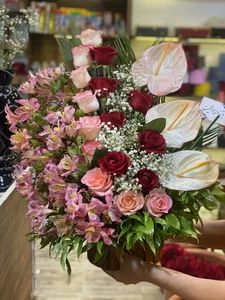 گل سرای تارا 4