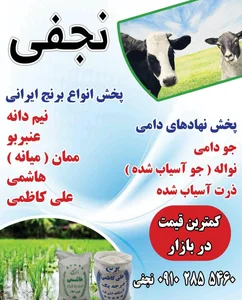 پخش برنج و نهاده دامی نجفی 4