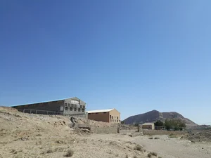 مرغداری اسعدی