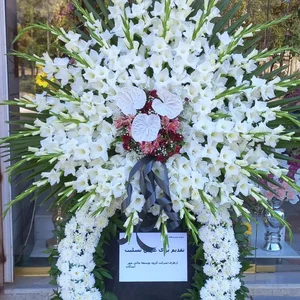 گلفروشی اطلسی