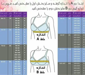 فروسگاه لباس زیر هانی