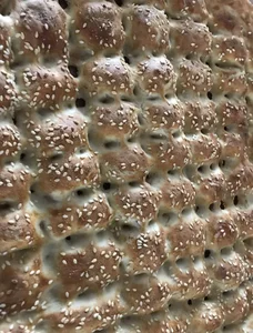 نانوایی