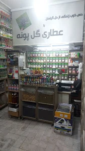 عطاری گل پونه