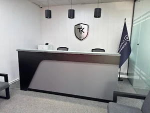 شرکت تندیس خودرو
