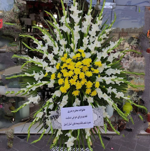 قصرگل کلاسیک.ملایر