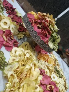 میوه خشک کنی خانگی