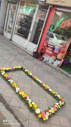 آقای گل