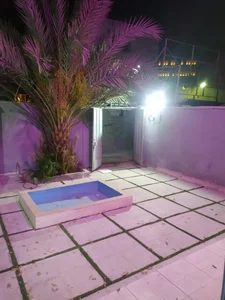 کلینیک دامپزشکی مشتاق 3