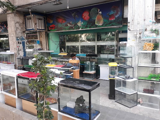 طاهری آکوا