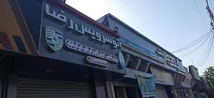 اتو سرویس رضا