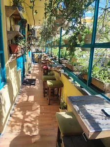 Cafebalcony365