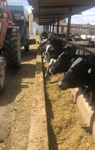 مجتمع کشت و دام کوهسار