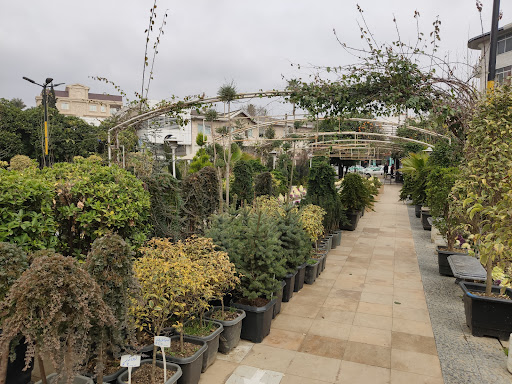 مزرعه گل