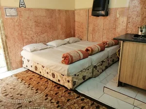 قاسمی طلایی