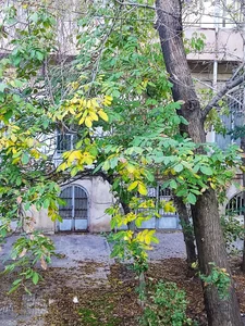 کافه گلشن 5