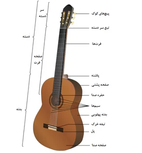 آموزش گیتار در منزل هنرجو