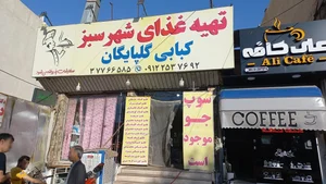 تهیه غذای آماده شهر سبز 2