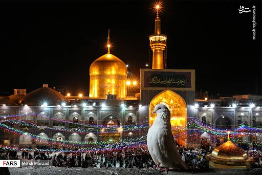بی بی سار خاتون