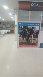 داروخانه شبانه روزی بیمارستان مهر