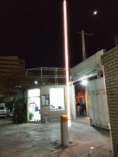 باشگاه شاهین