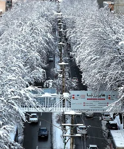 خیابان دانشکده Daneshkadeh Street