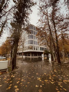 شهرک صنعتی بهسازی صنایع چوب ایران