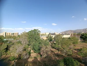 دفتر مرکزی عسل اورازان