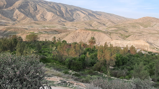 رودخانه دوزه
