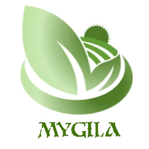 فروشگاه اینترنتی مای گیلا