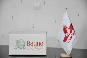 کارتن سازی هما